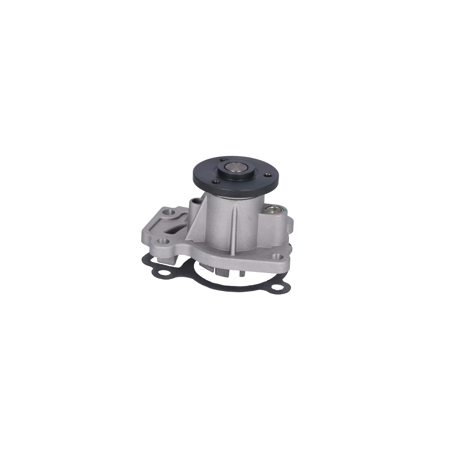 OEM Waterpomp RENAULT 1.6 (L33T, L33J, L304, L305, L30H) 117 PK Benzine 210102248R van FEBI BILSTEIN online aan geweldige prijzen