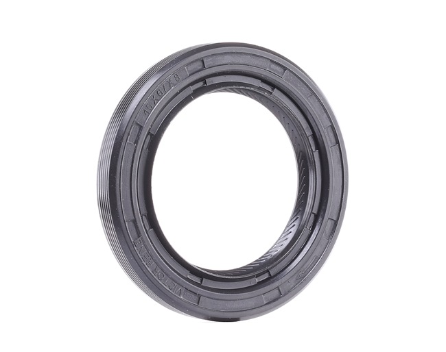 OE Paraolio volano MERCEDES-BENZ Classe M 2012 00A103085A, 1209970346, 0059979047 di REINZ