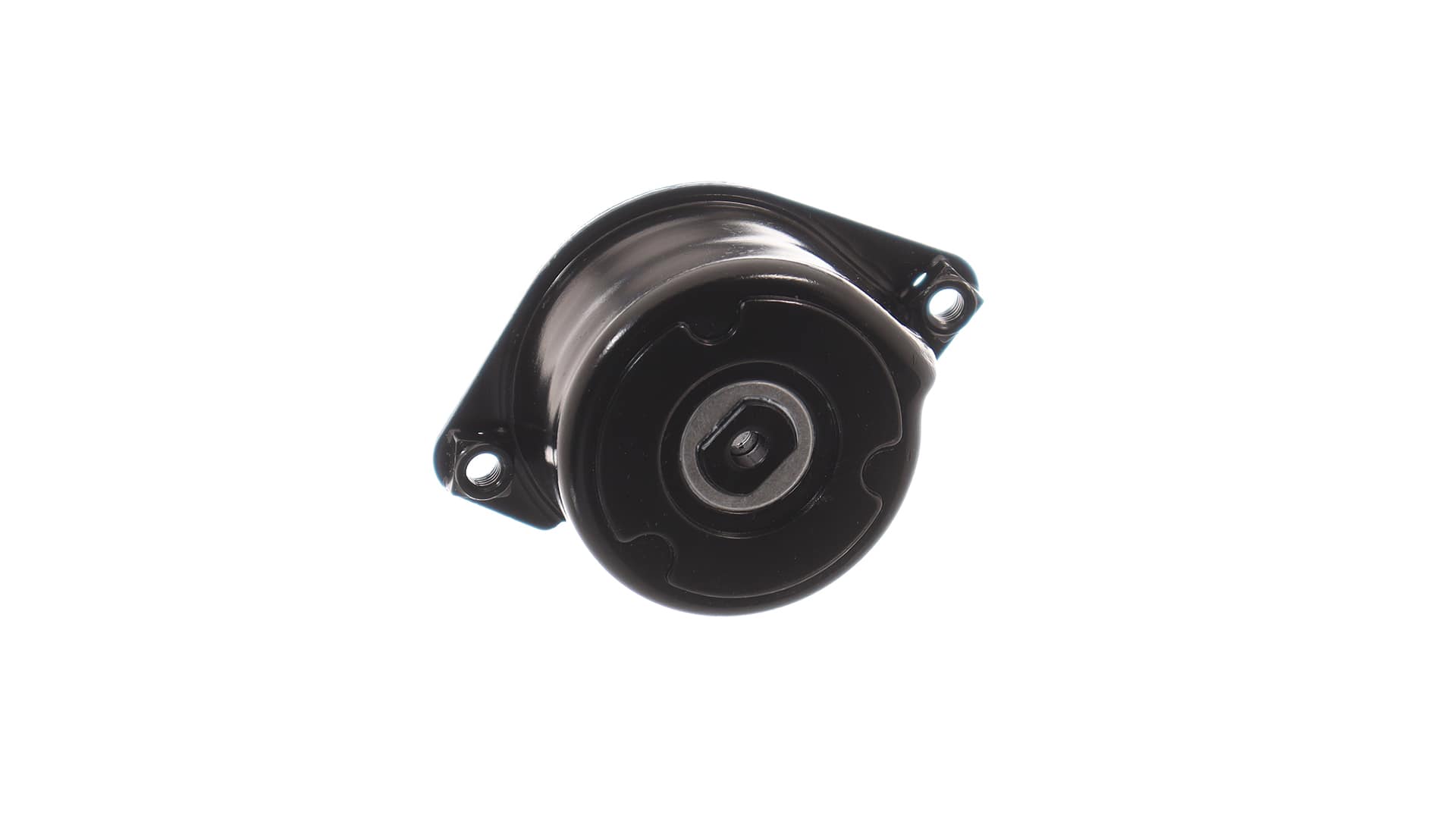 Spanpoelie LAND ROVER in originele kwaliteit 11282248484, 11282354130, PQS101710 van SKF