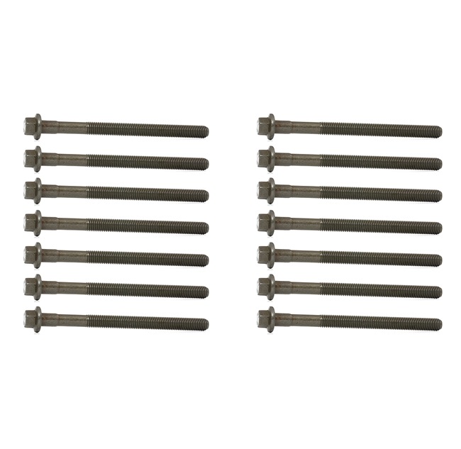 OEM Set surub, chiulasa INDIGO 3000 Cabriolet 6842347, 68423474, 7436842272 de la ELRING - economisiți datorită prețurilor noastre mici