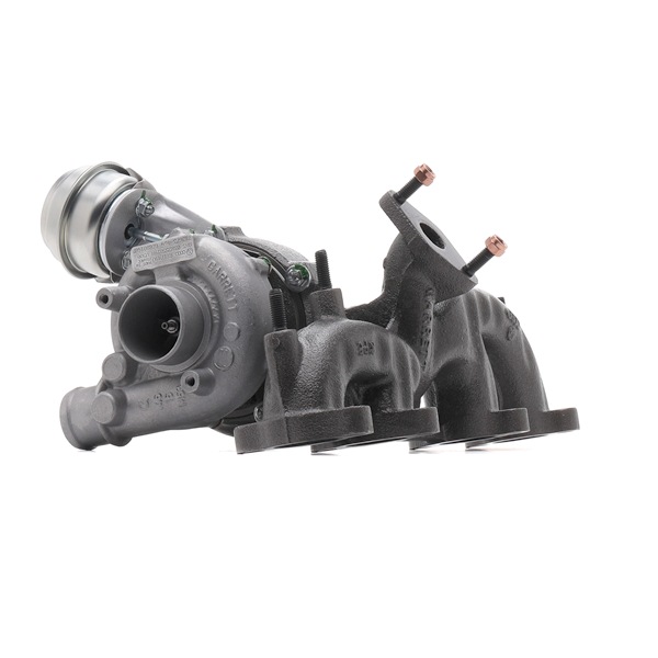 Acquista online Turbina 2234C10602R originale a buon mercato, comparabile con i numeri OEM 038253010GX