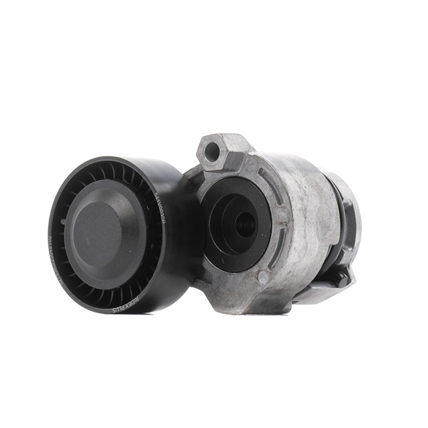 OEM Riemspanner, Poly V-riem RENAULT 1.5 dCi 90 PK Diesel 1175000Q1D van RIDEX PLUS online aan geweldige prijzen