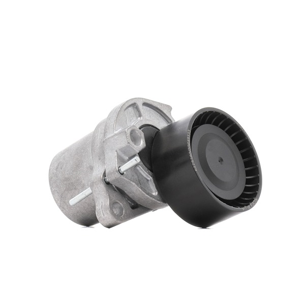 OEM Spanrol, poly V-riem RENAULT 1.6 dCi (DZ00, DZ12, DZ2A, DZ13) 130 PK Diesel 117505337R van RIDEX PLUS online aan geweldige prijzen