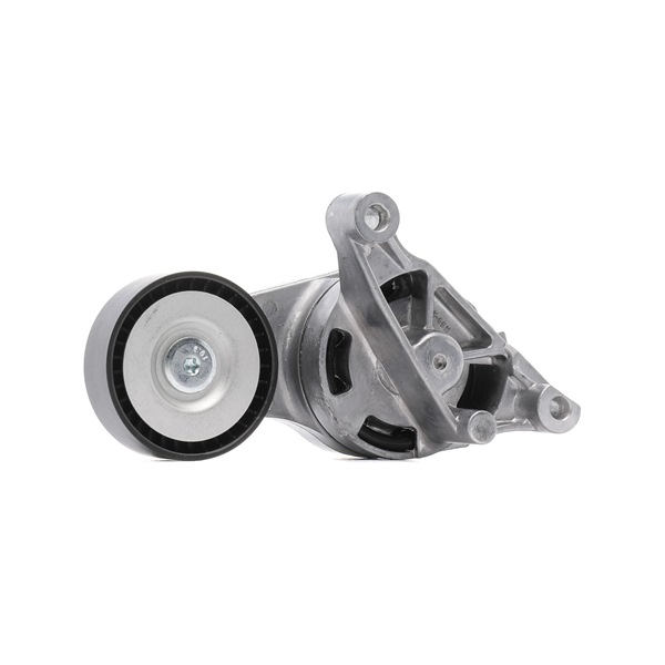 OEM Spanner, Poly V-riem SKODA 2.0 TDI 16V 136 PK Diesel 03G903315 van RIDEX PLUS online aan verbazingwekkende prijzen