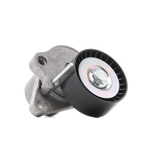OEM Spanrol, poly V-riem RENAULT 2.0 dCi 163 PK Diesel 117500969R van RIDEX PLUS online aan geweldige prijzen