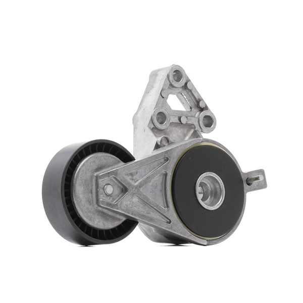 OEM Βραχίονας σύσφιγξης, ιμάντας poly-V VW 2.0 4motion 120 PS Βενζίνη 06A903315D από την RIDEX PLUS ηλεκτρονικά σε χαμηλές τιμές