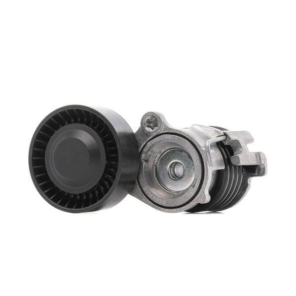 Compre Polea tensora, correa poli V 310T0057P original asequible comparable con números OEM online 03E903133B
