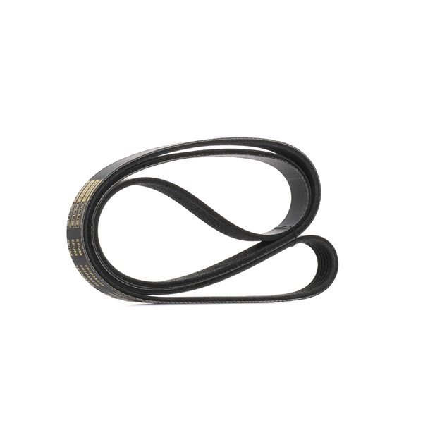 OEM Cinghia servizi FORD 1.8 TDCi 115 CV Diesel 047903137G da RIDEX PLUS online ad un ottimo prezzo