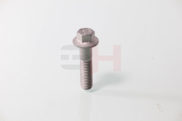 Compre online originais a baixo custo Parafuso, extremo do eixo GH-392549 comparáveis com os números OEM 999251