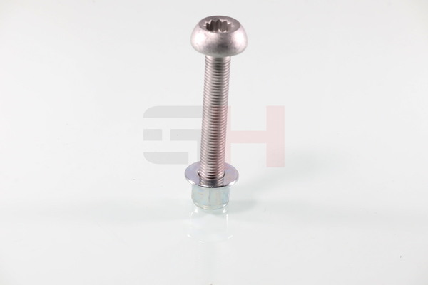 Įsigykite GH Varžtas, pasukamasis kakliukas Prekės Nr.: GH-399961 už žemiausią 4,84 € kainą