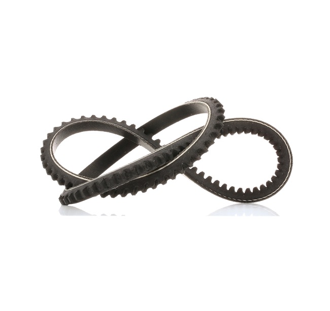 SKF V-Belt VKMV 10AVx730