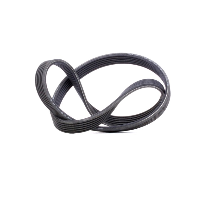 OEM Ιμάντας poly-V VW 1.9 TDI 85 PS Πετρέλαιο 038903137S από την CONTITECH ηλεκτρονικά σε χαμηλές τιμές