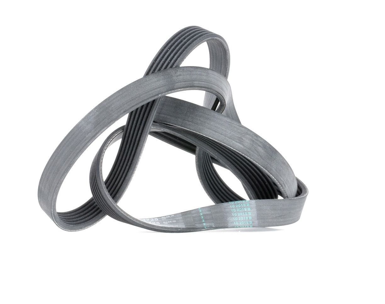 Buy CONTITECH Serpentine belt Product No.: 6PK1725 at the low price of £ 18,03