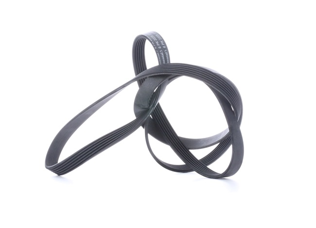 OEM Cinghia servizi MERCEDES-BENZ Classe M W166 0029930896, 0109978892, 0159970092 da CONTITECH - risparmia grazie ai nostri prezzi bassi