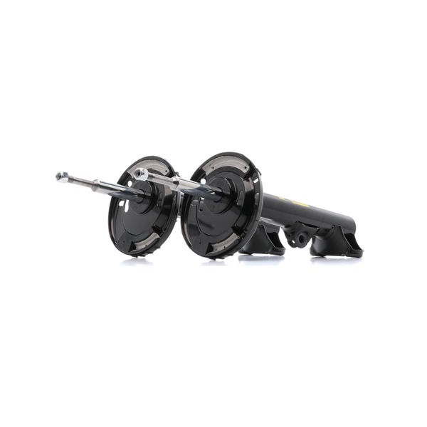 Kupite poceni originalno Blažilnik 854S1675P, primerljivo z 2093202130 OEM številke, prek spleta