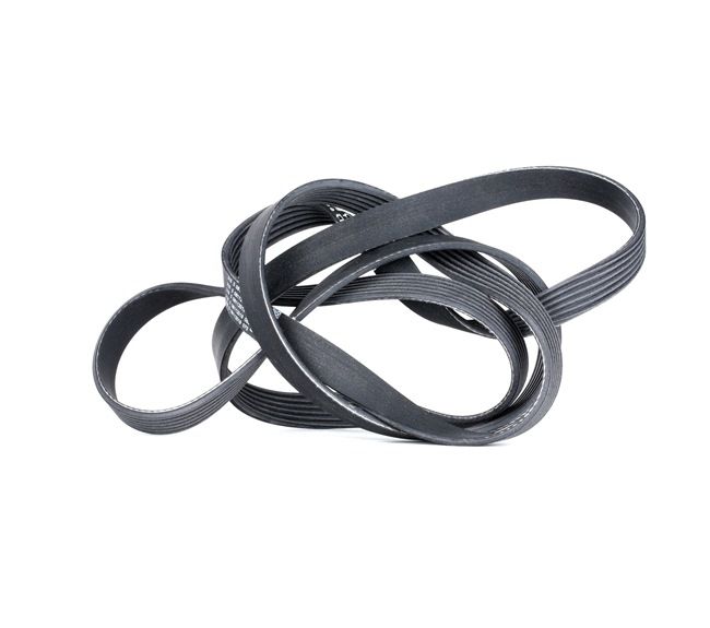 OE OPEL MONTEREY 1997 Ribbed belt 0089978892, 06E903137AA, 1854733 from CONTITECH
