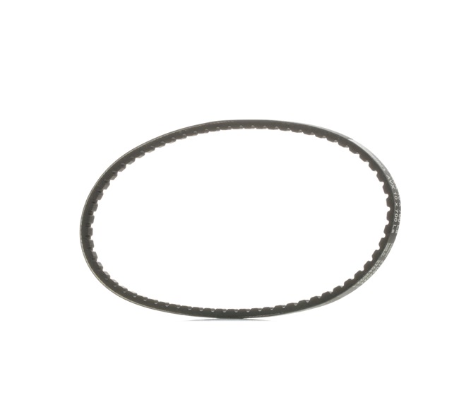 OE MG MONTEGO Kilerem 030903137E, 4181525, 456903 fra CONTITECH - reducerede priser