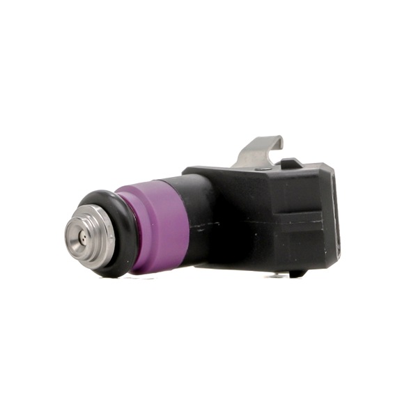 OEM Injector RENAULT 1.6 112 PK Benzine 8200132259 van MAXGEAR online aan geweldige prijzen