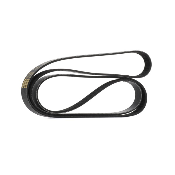 Koop online goedkoop originele Multiriem 305P0145P vergelijkbaar met L32715909B OEM-nummers