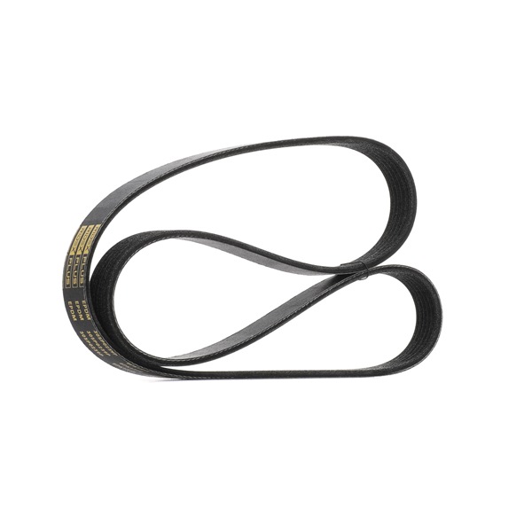 OEM Multiriem OPEL 1.3 CDTI (F08, F68) 70 PK Diesel 0029939896 van RIDEX PLUS online aan verbazingwekkende prijzen