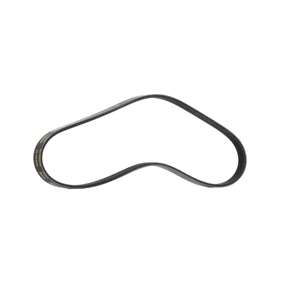 Kupte si levné originální Ozubený klínový řemen 305P0015P porovnatelné s 46451652 OEM čísly online