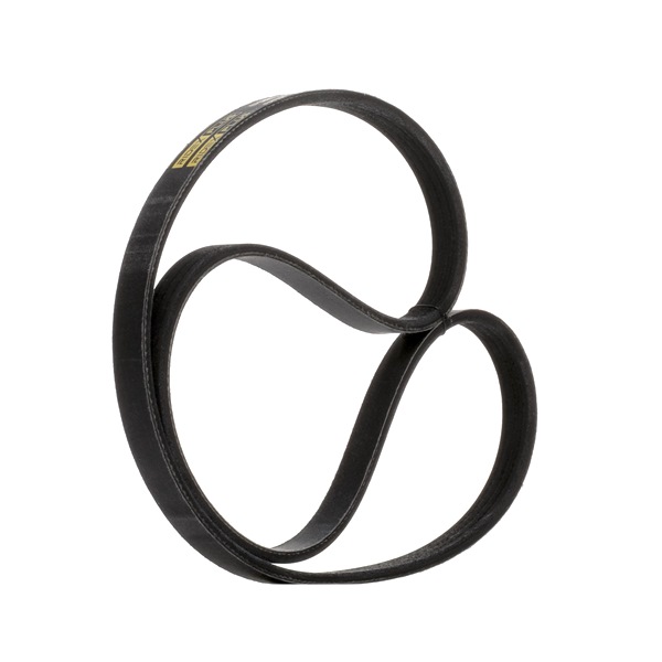 OEM Rebrasti jermen IVECO Massif Pickup 2010 504048243, 504087247, 504129147 RIDEX PLUS