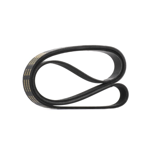 Acquista online Cinghia servizi 305P0647P originale a buon mercato, comparabile con i numeri OEM CM5Z8620F
