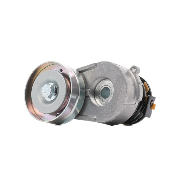 OEM Geleiderol / omdraairol v-snaren OPEL 1.7 CDTI (F08, F68) 100 PK Diesel 31160PLZD00 van RIDEX PLUS online aan verbazingwekkende prijzen