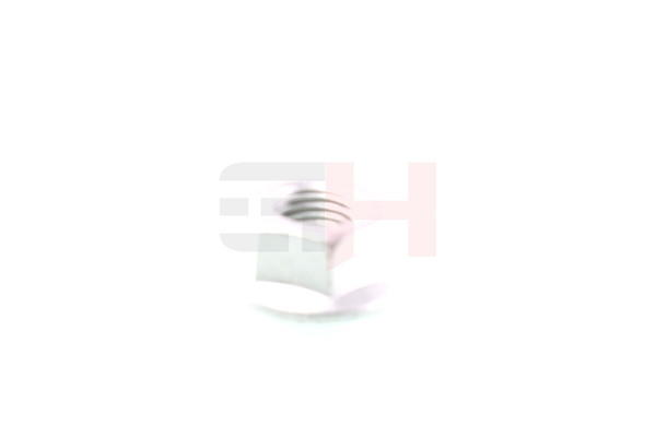 Įsigykite nebrangią originalią Veržlė, pasukamasis kakliukas GH-393373. sulyginama su A0059905050 OEM numeriais internetu