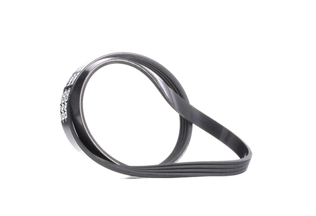 OE LEXUS RX 2018 Auxiliary belt 034903137B, 053903137A, 0K21A18381 from DAYCO