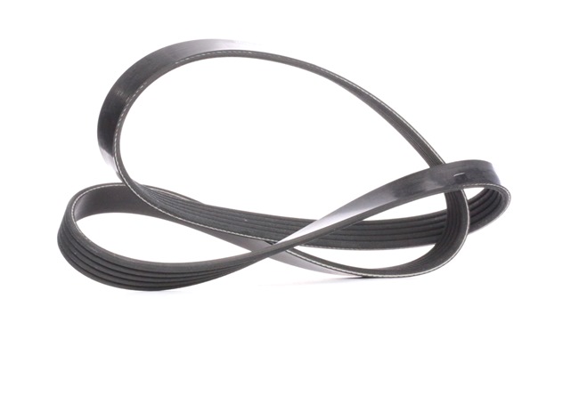 OE OPEL GT 2010 Drive belt 1028279, 1095321, 11287507626 from DAYCO