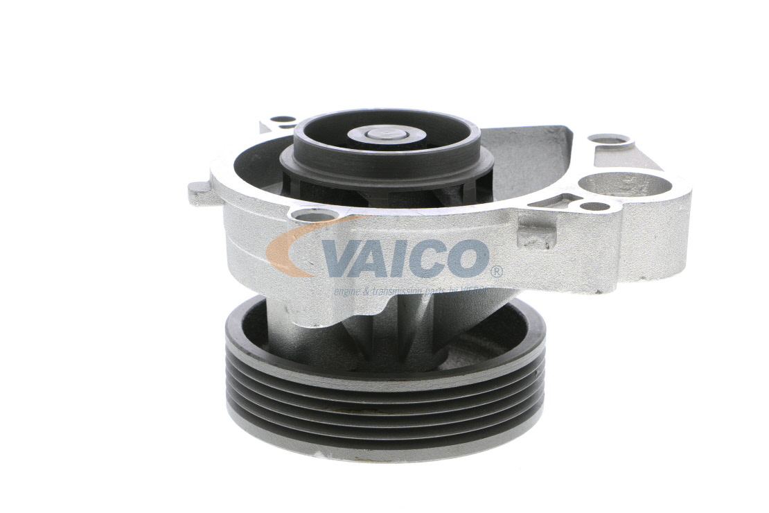 Įsigykite VAICO Vandens siurblys Prekės Nr.: V20-50033 už žemiausią 50,62 € kainą