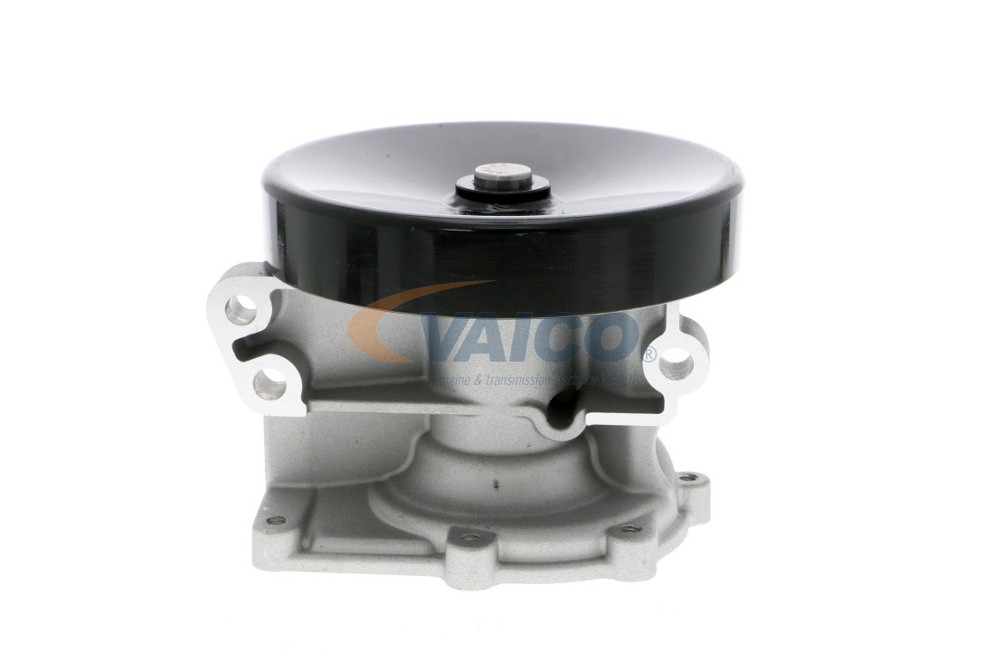 Įsigykite nebrangią originalią Vandens siurblys V46-50013. sulyginama su 7701468802 OEM numeriais internetu