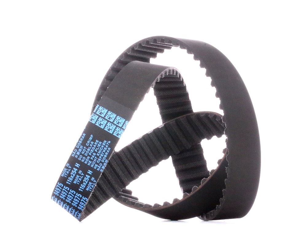 Ostke DAYCO Hammasrihm Toode nr.: 94975 madala hinnaga 25,76 €