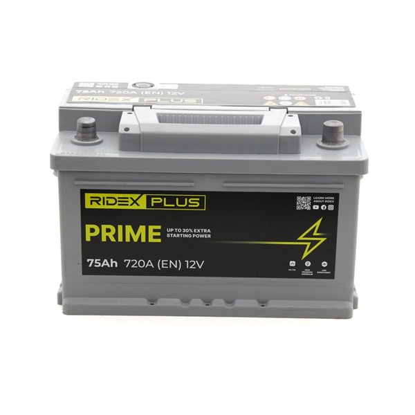 OEM Accu RENAULT 1.9 dCi 131 PK Diesel 1072348 van RIDEX PLUS online aan geweldige prijzen