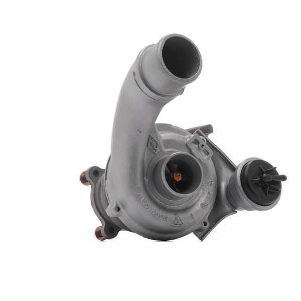 OEM Turbocharger RENAULT 1.9 dTi 98 PK Diesel 7700107795 van RIDEX REMAN online aan geweldige prijzen