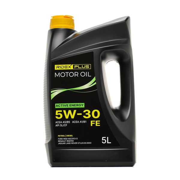 RIDEX PLUS 1862O0089P huile RENAULT Scénic I JA0/1, FA0 1.6 (JA00, JA16, JA15, JA19, JA1V, JA2B, JA2C, JA0B,... 107 CH Essence