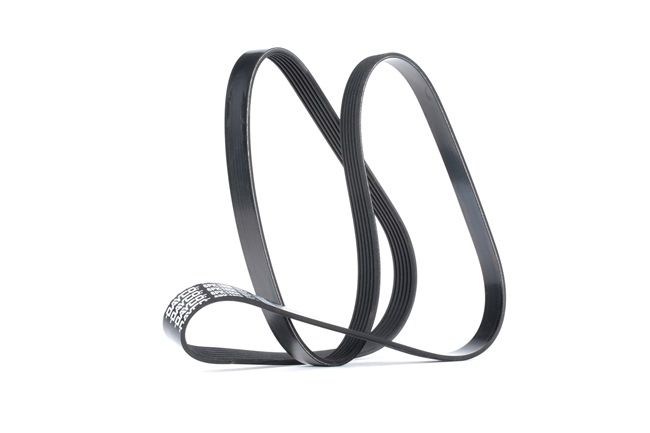 OEM Correia trapezoidal estriada RENAULT 1.9 dCi 102 CV Diesel 3104071 de DAYCO online a preços excelentes
