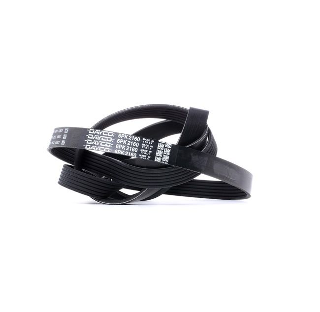Vásároljon online olcsó, eredeti Hosszbordás szíj 6PK2160 alkatrészt, mely összehasonlítható a 062260849B OEM számmal