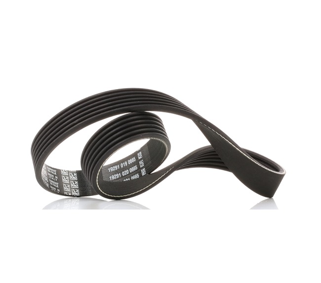 OE Dynamoriem SKODA CITIGO 2023 030903137AA, 030903137K, 036145933AG van DAYCO