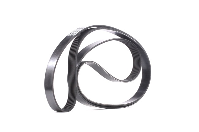 OE Accessoireriem KIA MOHAVE / BORREGO 2021 0019933696, 0039930196, 1172000Q0E van DAYCO