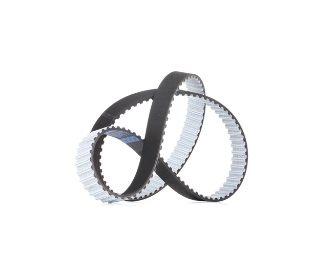 OE VW CRAFTER 2024 Wet belt 076109119A, 141RHX260HT from DAYCO