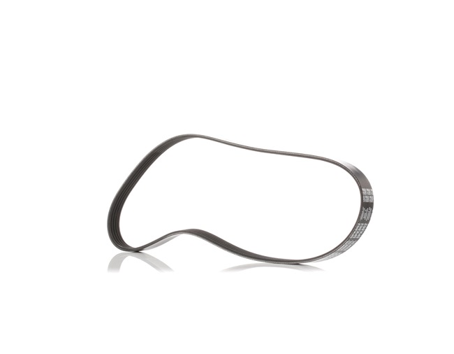 Köp billiga original Multirem 5PK862 jämförbara med K80518381B OEM nummer på nätet