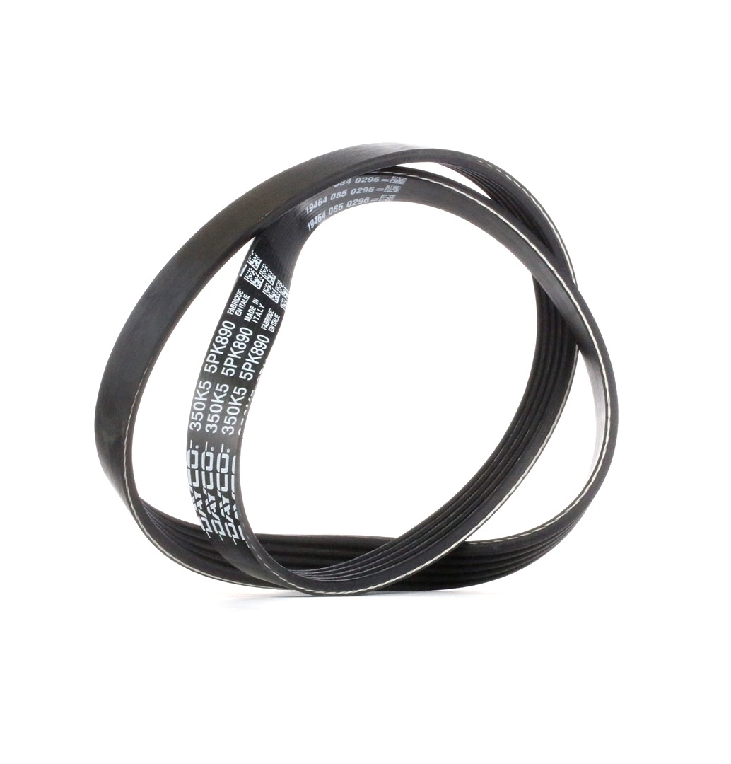 Ostke DAYCO Soonrihm Toode nr.: 5PK890 madala hinnaga 10,36 €
