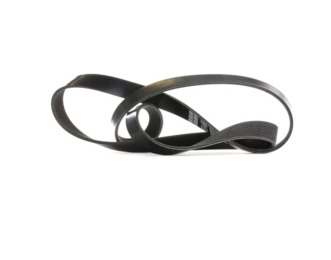 OPEL Agila B 2008 V-ribbed belt DAYCO OEM 1340024, 20441019, 55185078