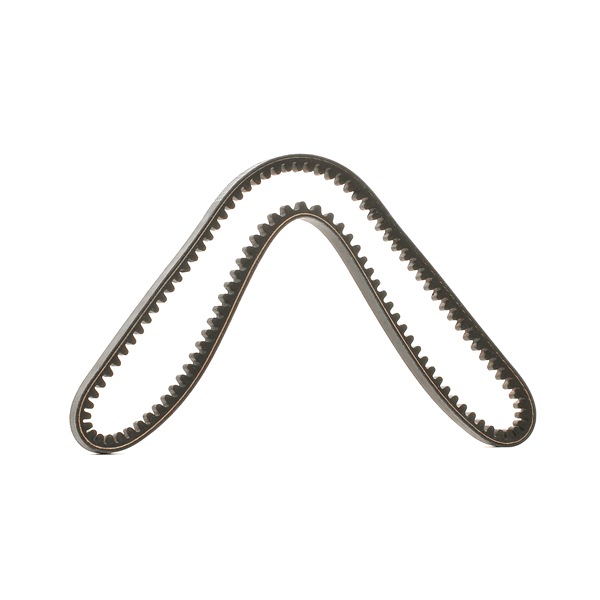 OEM Cinghia trapezoidale TOYOTA LAND CRUISER Pick-up _J4_ 2521342100, 2521542000, 2521542001 da DAYCO - risparmia grazie ai nostri prezzi bassi