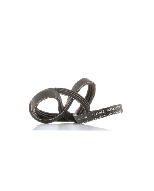 OEM Serpentine belt FORD 1.8 D 60 HP Diesel 1303612 from DAYCO online at great prices