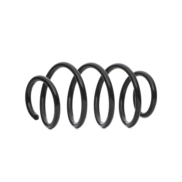 OE Feder VW SCIROCCO 2007 1K0411105DB, 1K0411105EB, 1K0411105EC von LESJÖFORS
