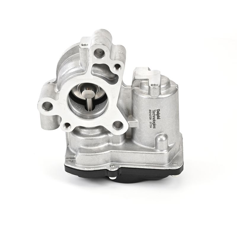 Įsigykite DELPHI ERG vožtuvas Prekės Nr.: EG10729-12B1 už žemiausią 151,61 € kainą