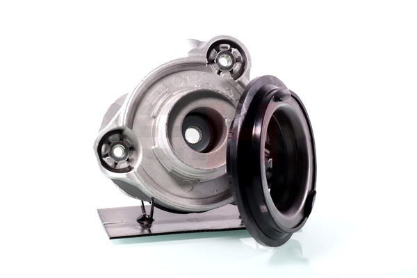 Kupte si levné originální Opravna sada, horni ulozeni tlumicu GH-361962V porovnatelné s 1374666080 OEM čísly online